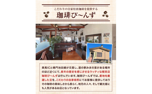 自家焙煎 珈琲豆 コーヒー こだわりセット粉 計3袋 《30日以内に出荷予定(土日祝除く)》 珈琲び〜んず 送料無料 焙煎 ブレンド豆 モカ キリマンジャロ コーヒー豆 徳島県 美馬市