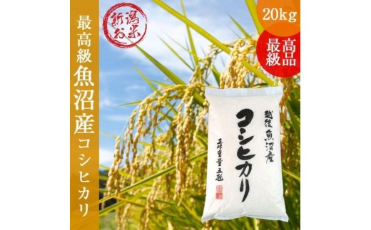 
                  令和7年産 新潟コシヒカリ20kg(5kg×4) こしひかり 精米
                