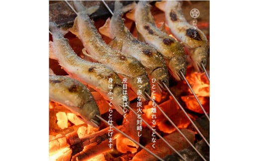
一尾ずつ炭火で丁寧に焼き上げた鮎の塩焼き（４尾）
