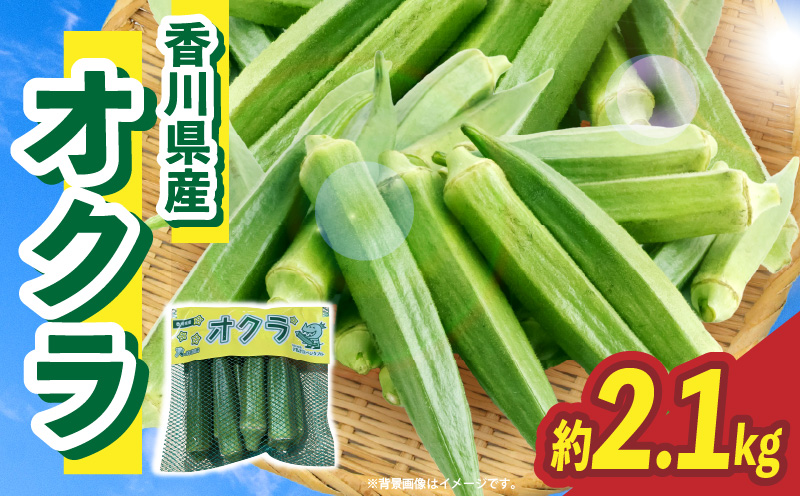 オクラ 約2.1kg |オクラ 野菜 ネバネバ 旬の野菜 旬 季節の野菜 季節 贈答 贈り物 ギフト プレゼント おすそ分け グルメ お取り寄せ 人気 おすすめ 特産 特産品 生鮮食品 香川県 三木町 |_mk006-123