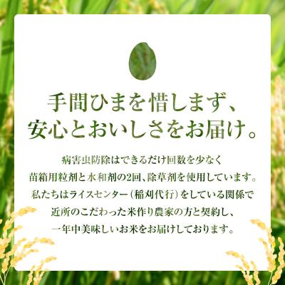 ふるさと納税 八代市 【令和7年産】 熊本県八代市産 森のくまさん 3kg×2袋_001-4321-F |  | 01