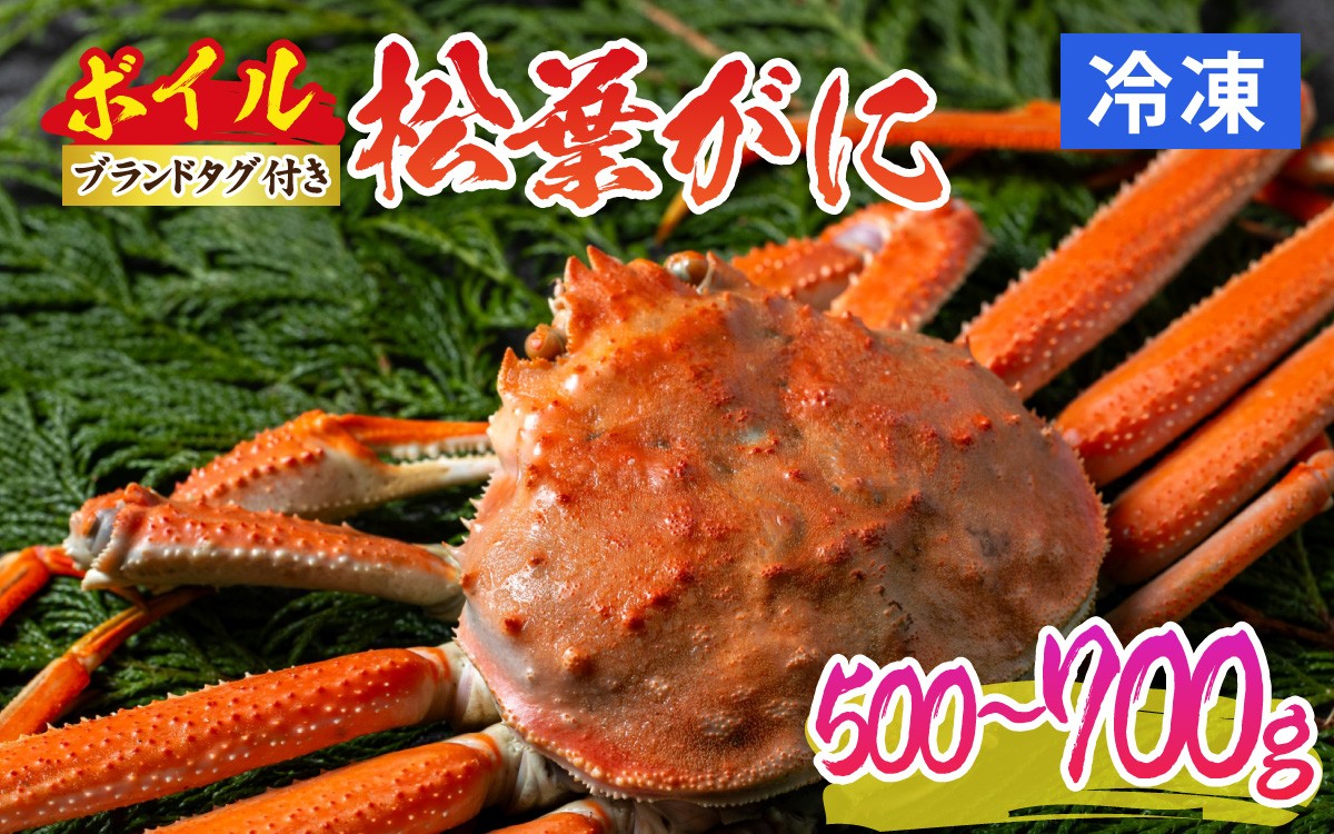 
                  【先行予約】松葉がに 500～700g (ボイル)※2026年11月中旬より順次発送予定／蟹 ズワイガニ 浜坂漁港 タグ付き 無添加 日本海 魚介類 新鮮 塩茹で 上品な甘み 海鮮 海の幸 かに 国産 冷凍
                