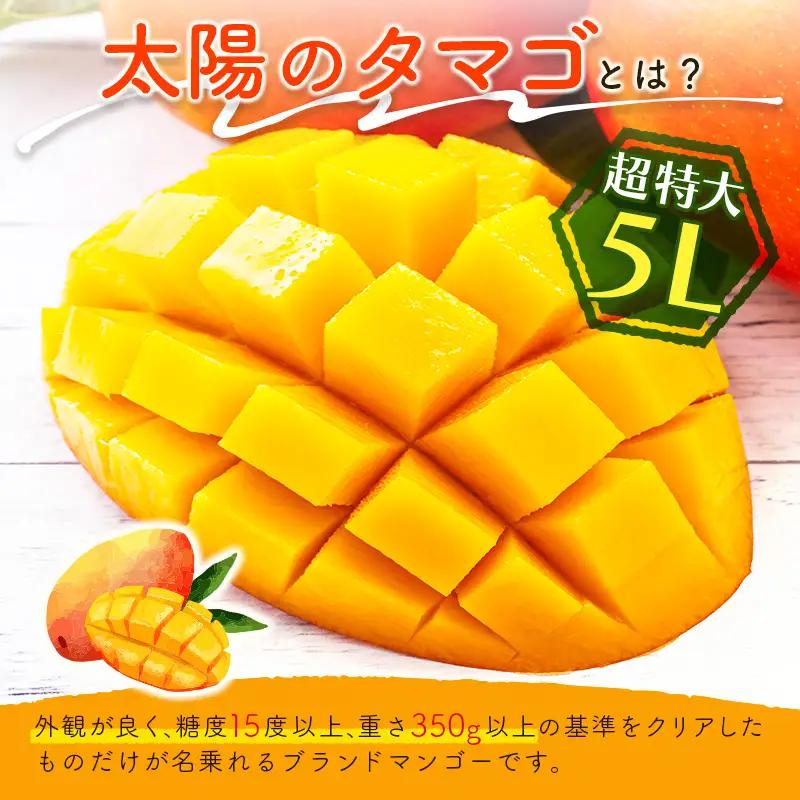 2027年出荷 宮崎 完熟マンゴー 太陽のタマゴ 5L×1玉 650g以上 D114-27