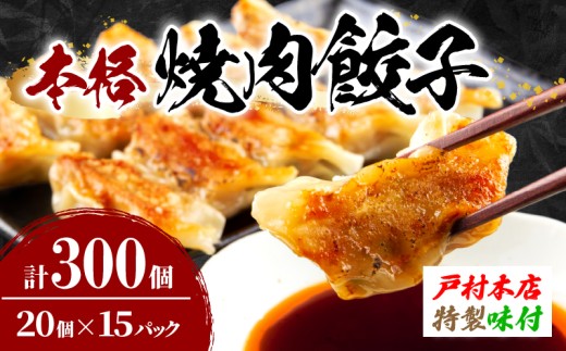 焼くだけ!! 簡単調理 焼肉餃子 20個 × 15パック 計300個 小分け 宮崎 餃子 ぎょうざ ギョーザ 加工品 国産 惣菜 戸村本店 特製餃子 自家製餃子 冷凍餃子 人気 おすすめ おかず おつまみ お弁当 おすそ分け 手土産 贈り物 ギフト プレゼント 日南市 送料無料_FC13-25