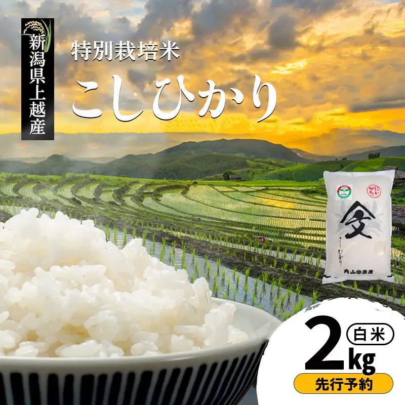 【先行予約】特別栽培米 コシヒカリ 白米 2kg 内山農産 コシヒカリ