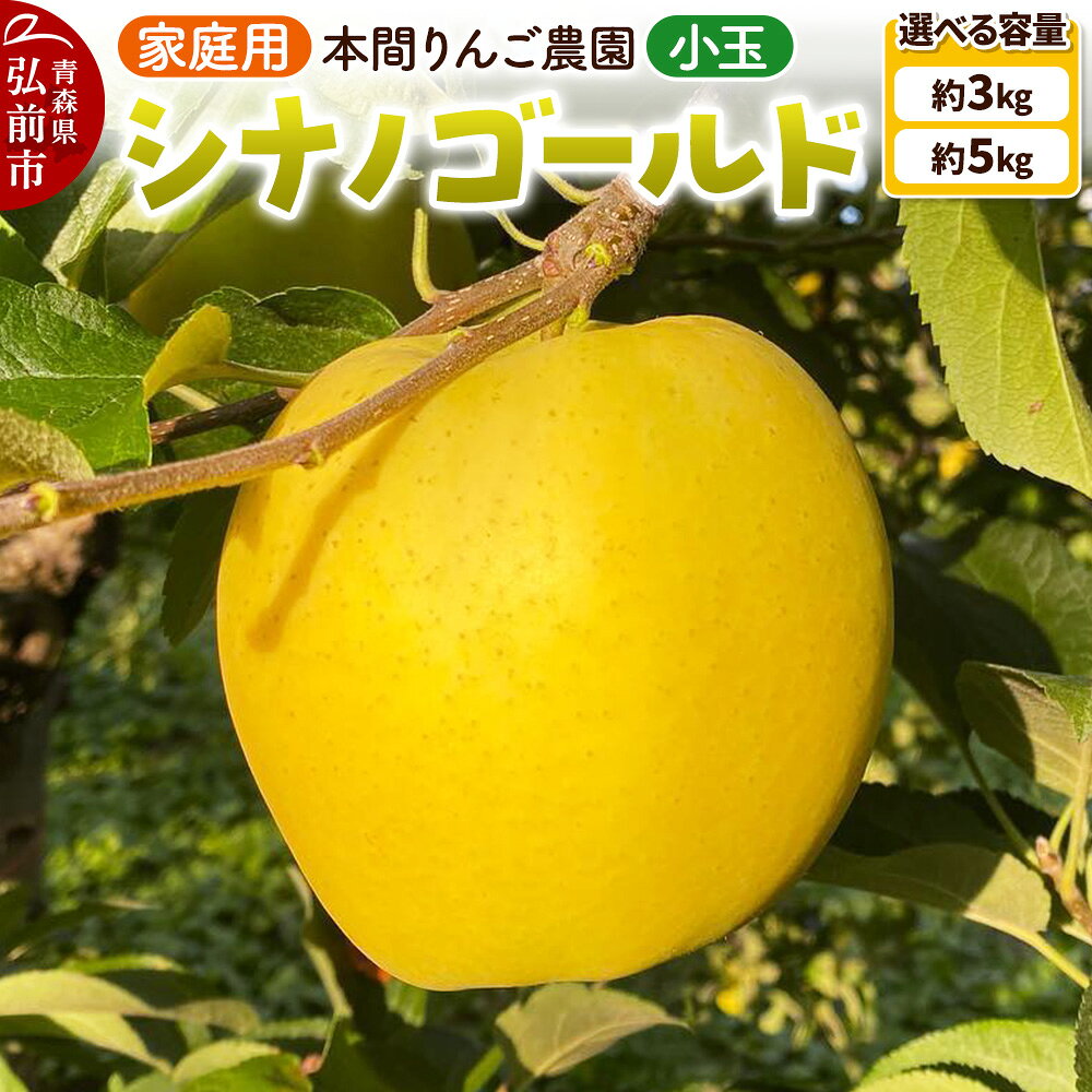【ふるさと納税】りんご【26年10月下旬〜発送】シナノゴールド 小玉 家庭用【選べる約 3kg／5kg】先行受付 青森県 弘前市 果物 フルーツ 林檎 リンゴ くだもの 不揃い 規格外 [先行予約 産地直送 アップル おいしい 果実 美味 甘い 黄色]