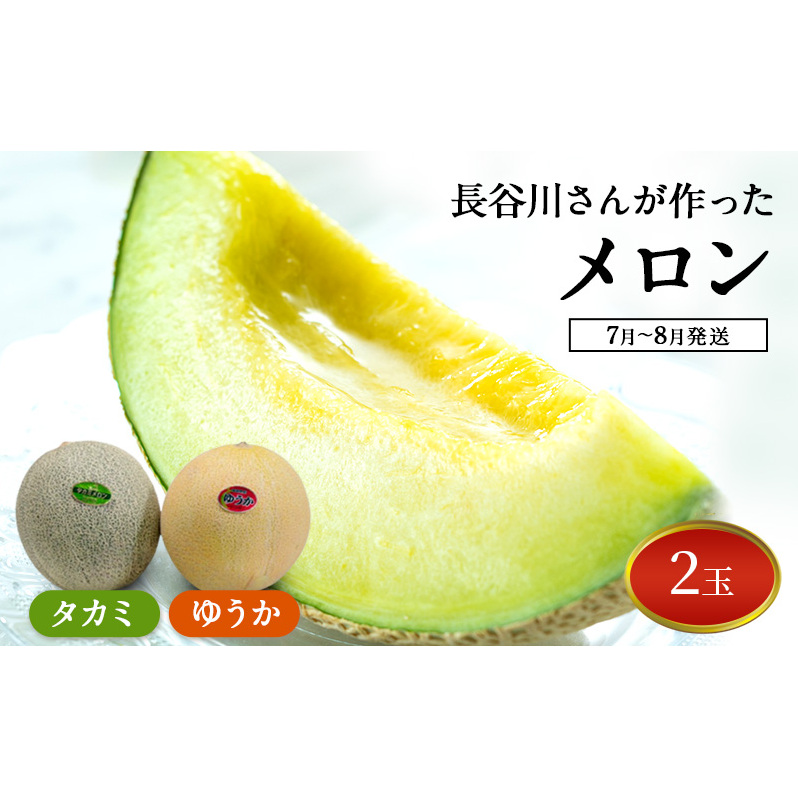 【先行予約2025年産】長谷川さんが作ったメロン2個（ゆうか・タカミ）　7月～8月発送　青森県鰺ヶ沢町産 2玉 果物類 フルーツ メロン青肉 