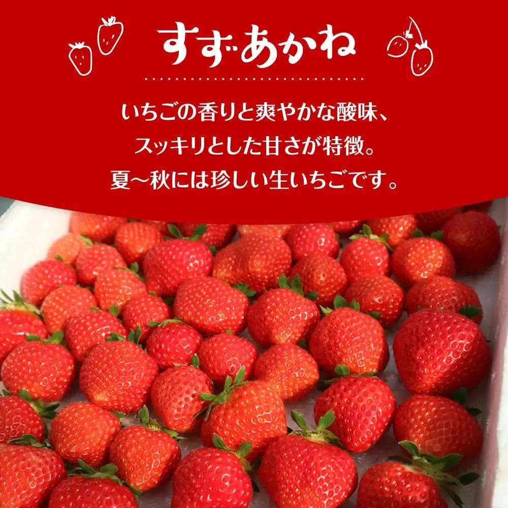 夏いちご すずあかね  計600g [AXBT003] いちご