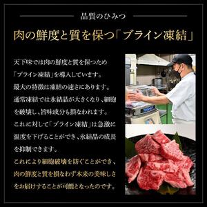 土佐あかうし＆土佐和牛2種食べ比べ　特選スネ肉煮込み角切り約500g　計8パック　約4kg