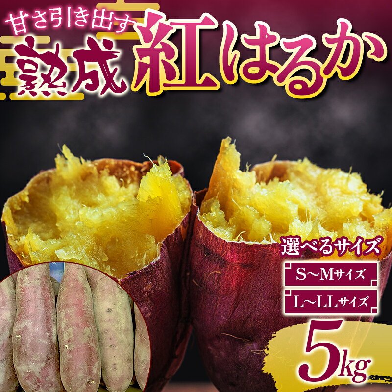 【ふるさと納税】＜選べるサイズ＞甘さ引き出す 熟成紅はるか 5kg さつまいも S～Mサイズ・L～LLサイズ サツマイモ さつま芋 甘い おやつ 食品 F21T-470var