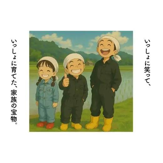 【数量限定】《令和7年産》岐阜県産 コシヒカリ（精米） 5kg | 垂井町産 米 白米 冷めても美味しい米 ブランド米 高品質 安心 安全 リピーター多数 贈答用 贈り物 ギフト プレゼント おしゃれ