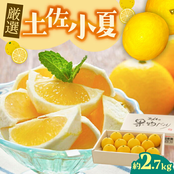 【ふるさと納税】【先行予約・申込は6月下旬頃まで】厳選 土佐小夏 約2.7kg /高知 小夏 コナツ こなつ 果物 柑橘 フルーツ【有限会社 武田青果】 [ATBB003]