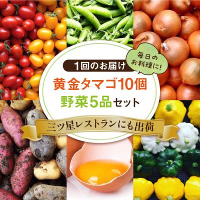 ふるさと納税 糸島市 【全6回定期便】糸島の朝産み黄金タマゴ10個 朝どれ新鮮野菜5品セット 糸島産 [AGE048] |  | 01