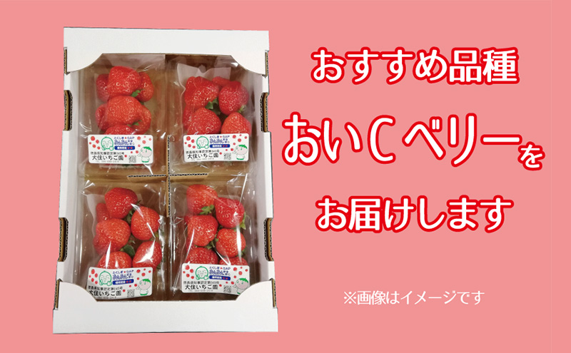 おすすめ品種「おいCベリー」4パック　250g×4パック　『とくしま安２（安全・安心）農産物』優秀認定取得