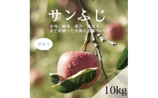 藤崎町産りんご 家庭用サンふじ約10kg