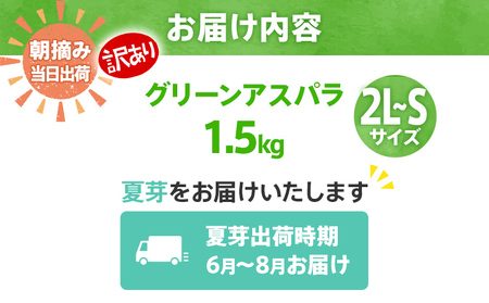 先行予約 訳あり 規格外 アスパラ 2L～Mサイズ 2kg 朝採り直送 夏芽グリーンアスパラガス 2L～Mサイズ 2kg 朝採れ アスパラ ふるさと納税 【出荷時期2024年6月～9月にお届け予定】B