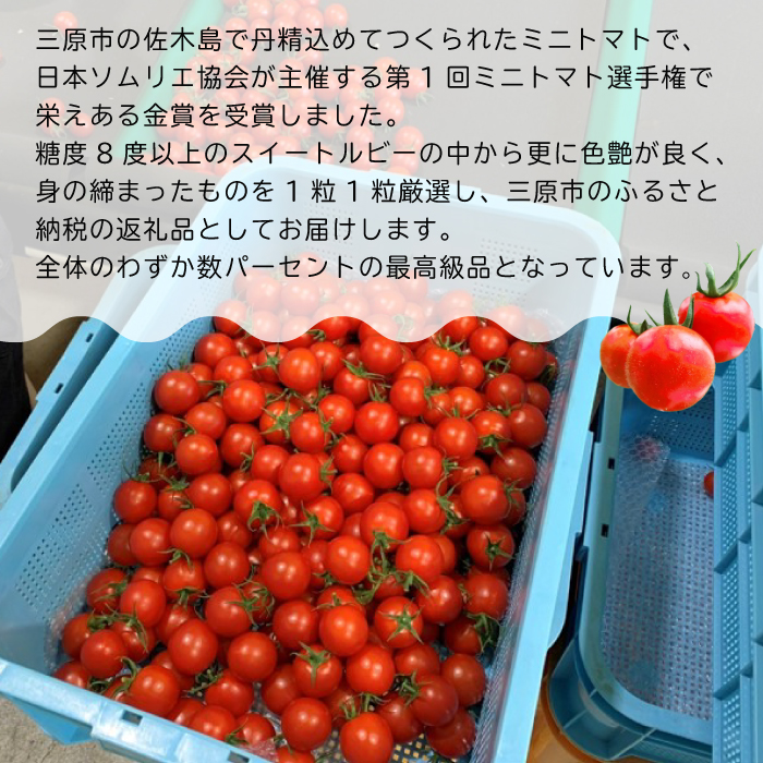 広島県産 スイートルビートマト 500g 野菜 やさい 食品 トマト ミニトマト とまと 金賞受賞 三原市 甘い 032002