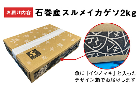 〈 訳あり 〉スルメイカ ゲソ 石巻産 (2kg) いかげそ イカゲソ スルメイカゲソ するめいかげそ 石巻産ゲソ 美味しいイカゲソ