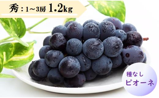 08-08-017　ぶどう(種なしピオーネ)1.2kg