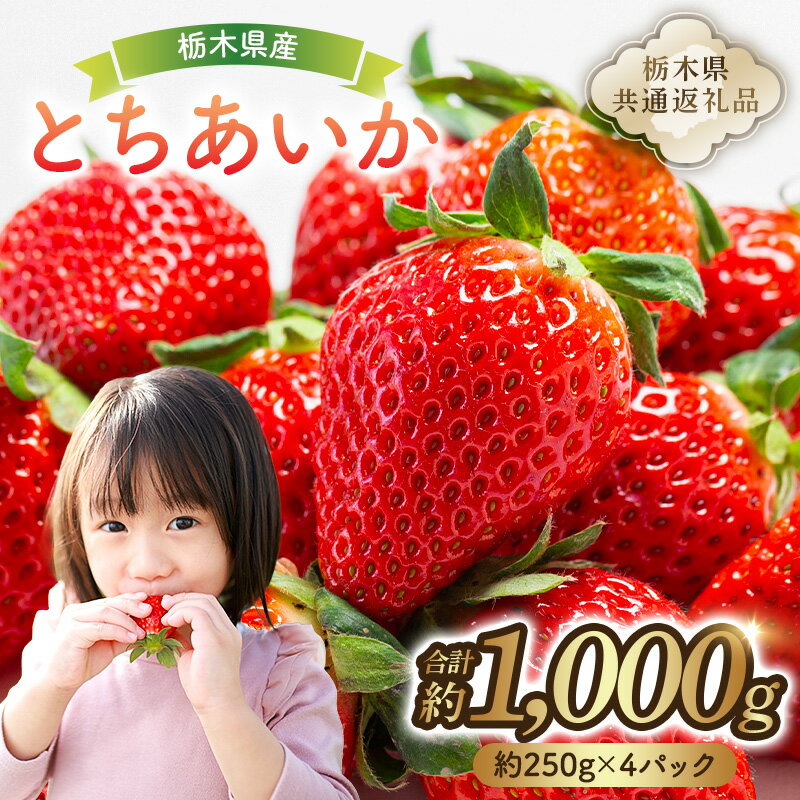 【ふるさと納税】 栃木県産　とちあいか約250g×4パック【栃木県共通返礼品】 栃木県 那須塩原市 いちご とちあいか 国産 オリジナル 品種 甘い 香り あまい 旬 完熟 産地直送 果汁 ブランド フルーツ 高級 けずり イチゴ 果物 1000g お取り寄せ 栃木 那須 塩原市