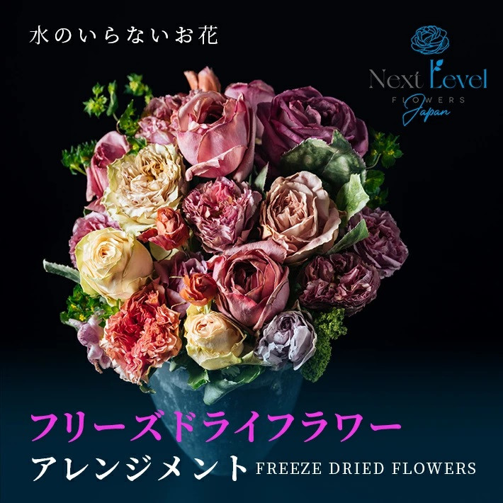 
            フリーズドライフラワー アレンジ 「ゼロ・モダンフラワー」 SL0217
          