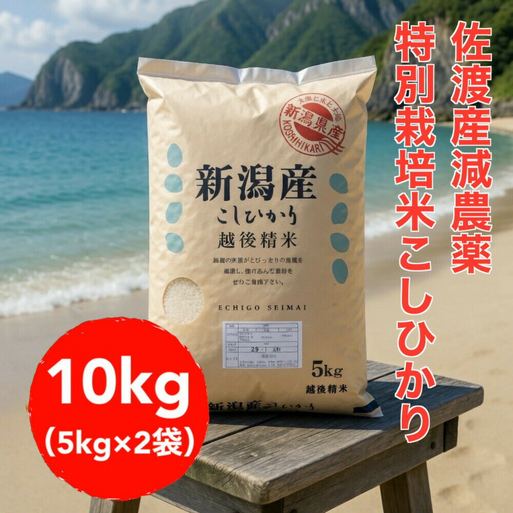 【ふるさと納税】【トキと共生する田んぼ】佐渡産コシヒカリ 特別栽培米 10kg（5kg×2袋）単一原料米 世界農業遺産の島195978-0041