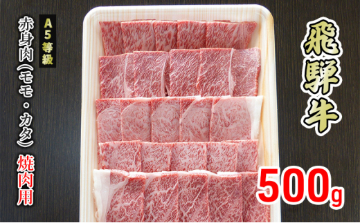 
[№5308-0349]牛肉 飛騨牛 焼き肉 赤身 モモ 又は カタ 500g 黒毛和牛 Ａ5 美味しい お肉 牛 肉 和牛 焼肉 BBQ バーベキュー 【岐阜県美濃市】
