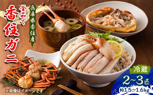 兵庫県香住産　釜茹で香住ガニ(紅ズワイガニ)2～3匹入り(約1.5～1.6kg)【配送不可地域：離島・北海道・沖縄県・東北・九州】
