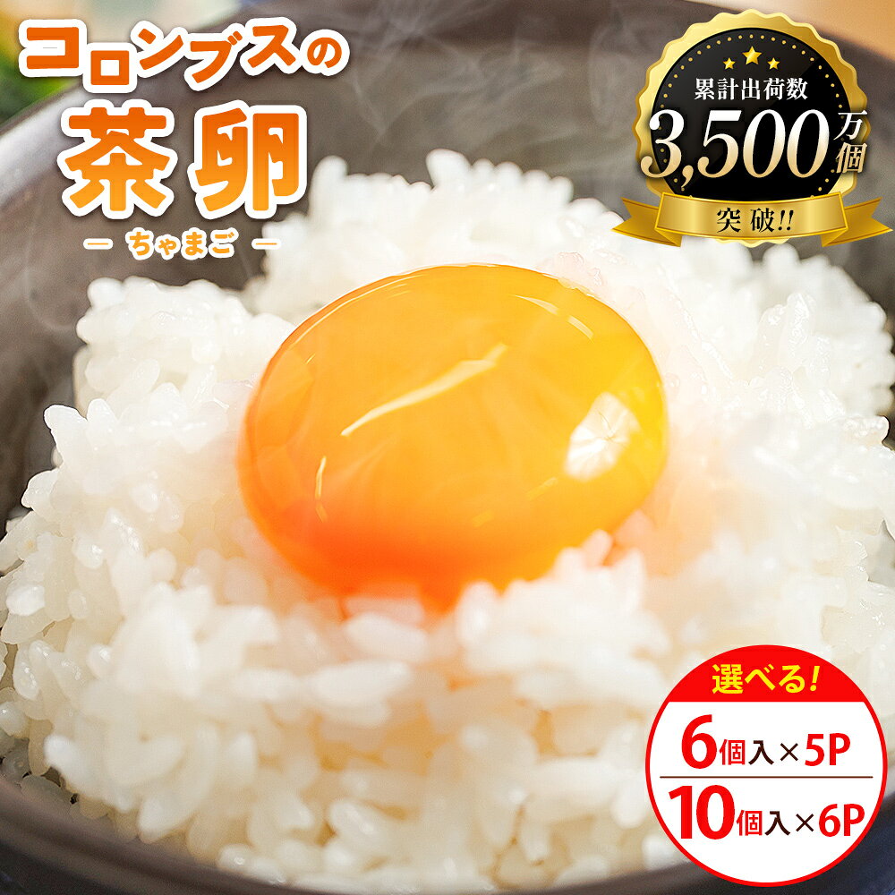 【ふるさと納税】コロンブスの茶卵（選べる：6個入×5P/10個入×6P） - 卵 生卵 茶卵 濃厚 卵黄 卵白 生臭みなし 透明感 卵かけご飯 たまご 玉子 朝ごはん オムライス 鶏卵 国産 株式会社ぶらうん こっこらんどフジグラン野市店 高知県 香南市【冷蔵】