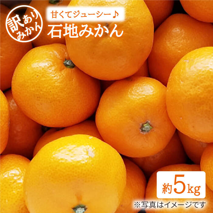 【ふるさと納税】【数量限定】【 訳あり 】 石地みかん 約5kg＜中尾果樹園＞ [CEL006] みかん 蜜柑 ミカン 西海みかん 温州みかん 果物 フルーツ 贈答 ギフト プレゼント 甘い ジューシー