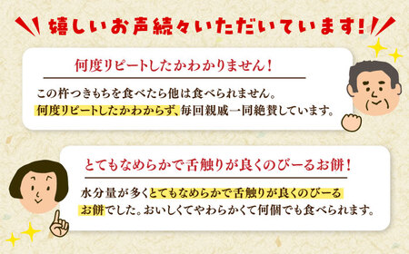 自慢の杵つきよもぎ餅（冷凍）計24個入（40g×4個入×6P） / 佐賀県 / 旬菜舎さと山 [41AABM025]
