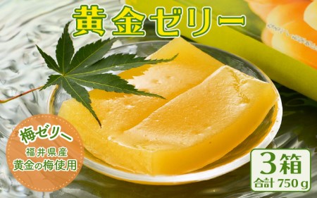 【期間限定】夏の水羊羹！「黄金ゼリー」 250g × 3箱（計750g）  白餡と「黄金梅」ピューレ [e07-a015]