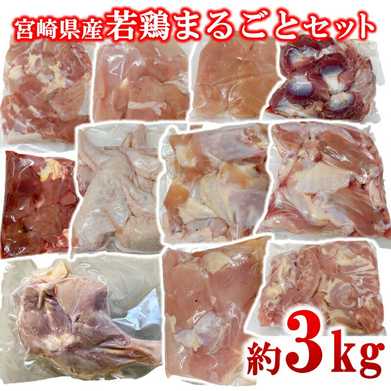 【ふるさと納税】宮崎県産若鶏 11種 3.05kgセット 小分け もも肉 むね肉 筋なしささみ 砂肝等々11種 小分け 11パック＜1.4-34＞とり肉 国産 真空パック 切身 切り身モモ肉 ムネ肉 ササミ