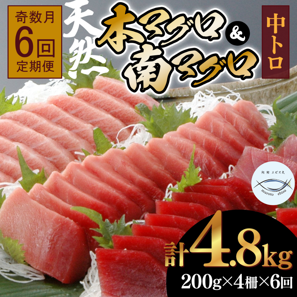 【６回定期便】天然本マグロ 天然南マグロ 中トロ 各２柵 奇数月  まぐろ 鮪 鮮魚 刺身 寿司 高級 食べ比べ