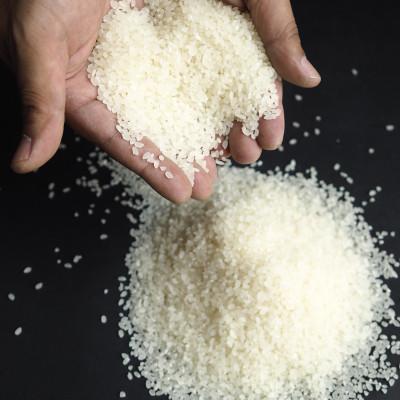 ふるさと納税 南魚沼市 令和6年産　南魚沼塩沢地区「大沢産こしひかり」特A米(※)5kg×2袋 |  | 01