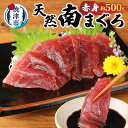 【ふるさと納税】 まぐろ 赤身 刺身 冷凍 約500g 港水揚げ 南まぐろ 魚 焼津 解凍方法レシピ付 a10-430