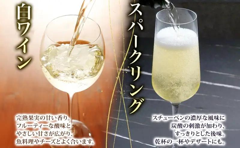 スチューベンワイン 白 720ml ＆ スパークリング 500ml セット ワイン 白ワイン スパークリングワイン 果実酒 ぶどう酒 青森県産 スチューベン 完熟 晩酌 家飲み 詰め合わせ ギフト 贈
