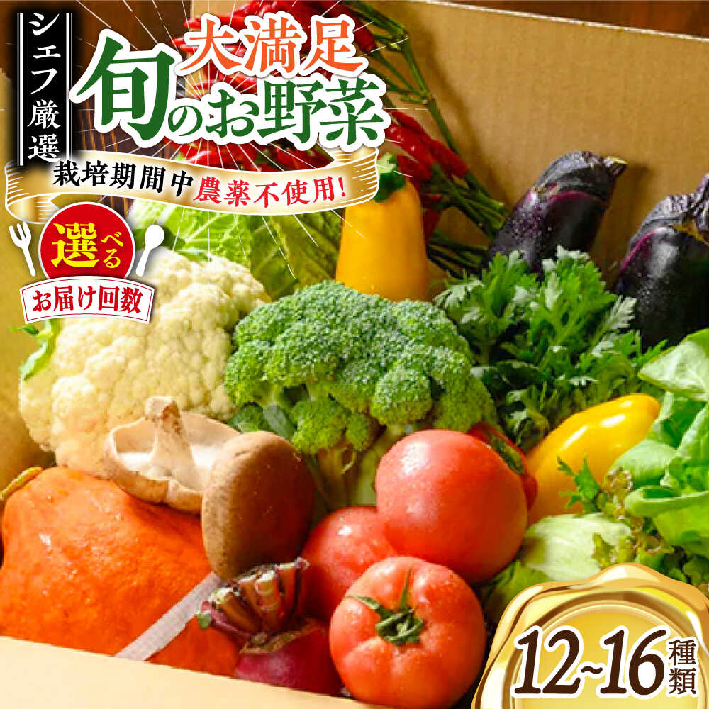 【ふるさと納税】 野菜 詰め合わせ【選べるお届け回数】 旬の 野菜セット | 人気 おすすめ おいしい 野菜セット 野菜 新鮮 食材 詰め合わせ 野菜セット お試しセット 二人暮らし おまかせセット 食材セット 旬野菜 大洲市/ヒロファミリーフーズ [AGBX003] 20000円 以上