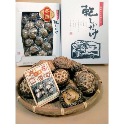 肉厚・厳選!原木育ちの上どんこ(160g)【1315566】