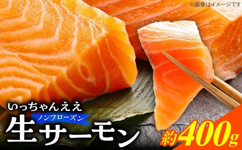 
                  生サーモン ノンフローズン 約 400g アトランティックサーモン 鮭 手作業 ノルウェー産 刺身 寿司 丼 サラダ 魚 海鮮 グルメ 冷蔵 お取り寄せ 和歌山県 湯浅町 送料無料 _FJ1000
                