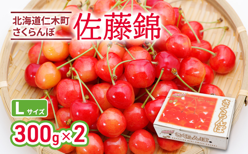 北海道 仁木町産 さくらんぼ 佐藤錦 300g×2P Lサイズ  サクランボ 果物 フルーツ チェリー