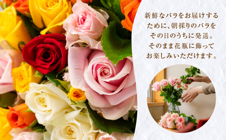 バラ 花束 20本  おまかせ 花 薔薇  生花 愛知県 田原市