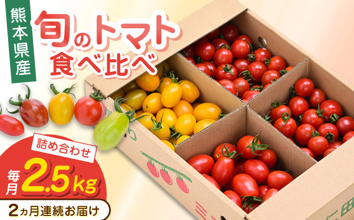 【全2回定期便】【期間限定】熊本県産 減農薬栽培 トマト ミディトマト 2.5kg 詰め合わせ 食べ比べ とまと【矢仁田農園】 [YDE008]