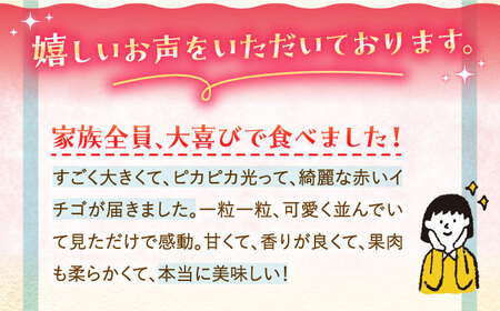 【先行予約】【11月下旬〜12月発送】王様のいちごさがほのか400g×2箱むらおか農園 HAF002 いちごいちごいちごいちご