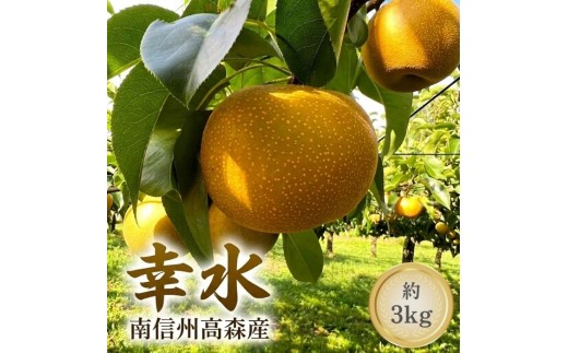 幸水 3kg箱