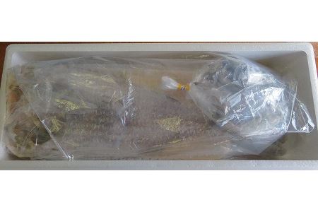 【北海道根室産】ホッケ・コマイセットA A-59003