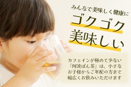【父の日ギフト】伝統製法 阿波ばん茶 500g 1袋【ふるさと納税 徳島県 那賀町 徳島 那賀 お茶 茶葉 阿波ばん茶 番茶 晩茶 乳酸菌 特産品 国産 発酵茶 茶 発酵 新茶 お取り寄せ お土産 母