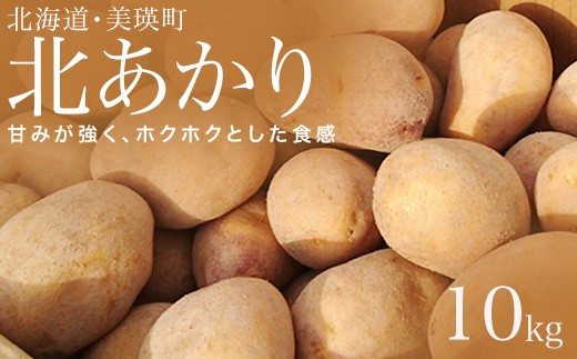 【先行予約】じゃがいも 10kg 北あかり <令和7年産 >松本農場   | キタアカリ きたあかり秋野菜 10kg 人気 おすすめ ランキング いも 芋 イモ じゃがいも ジャガイモ 野菜[012-176]