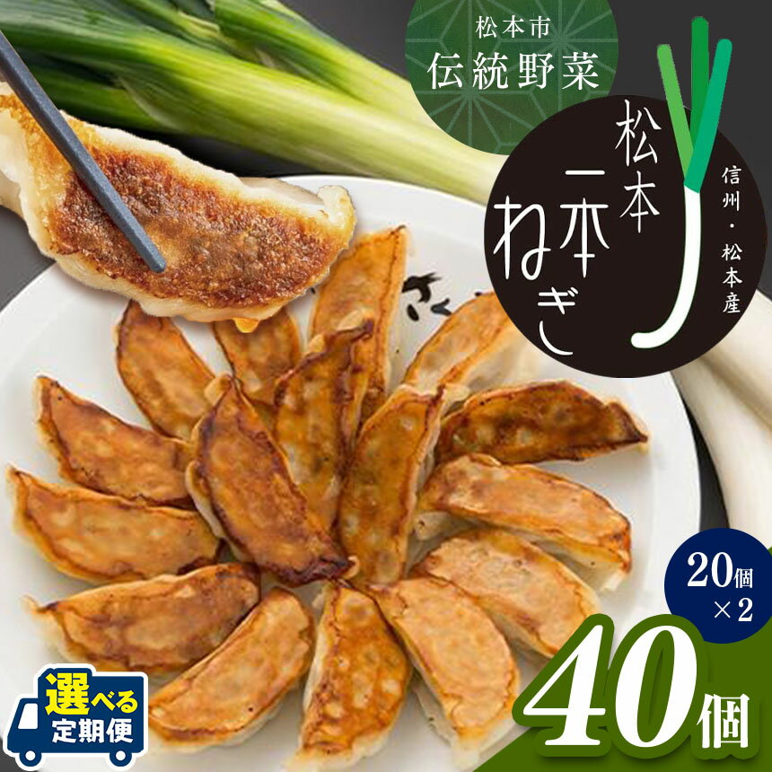 【ふるさと納税】 【定期便も選べる】伝統野菜松本一本ねぎ使用　松本一本ねぎ餃子｜餃子 ギョーザ 低糖質 マッスルギョーザ 長野県 松本市