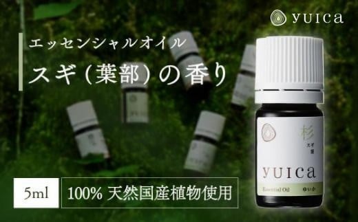 【yuica】エッセンシャルオイル スギ葉部（5ml）| オイル アロマ リフレッシュ 自然 森林 正プラス BF011